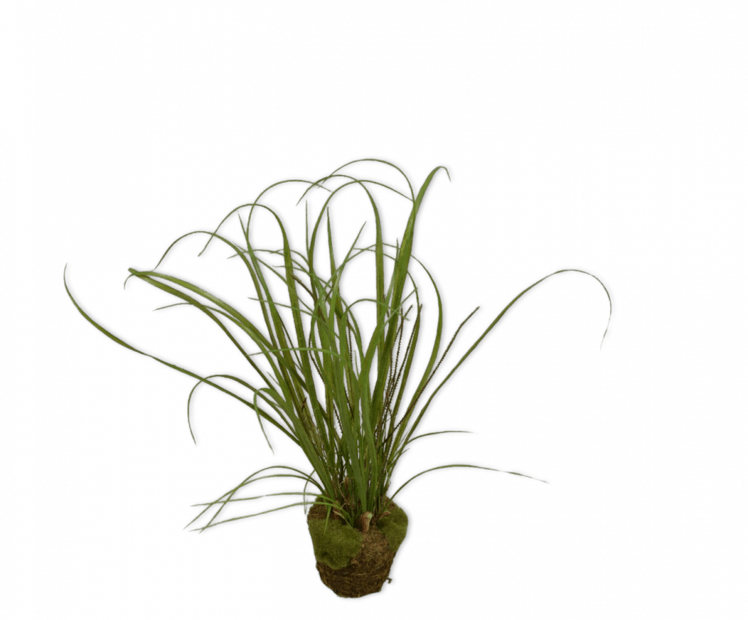 Kunstplant Gras op Kluit met Mos | 74 cm - NU PUUR & GROEN