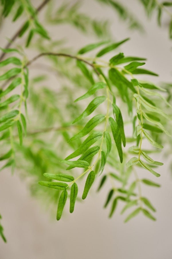 Kunstplant Groen | 280 cm - NU PUUR & GROEN