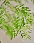 Kunstplant Groen | 280 cm - NU PUUR & GROEN