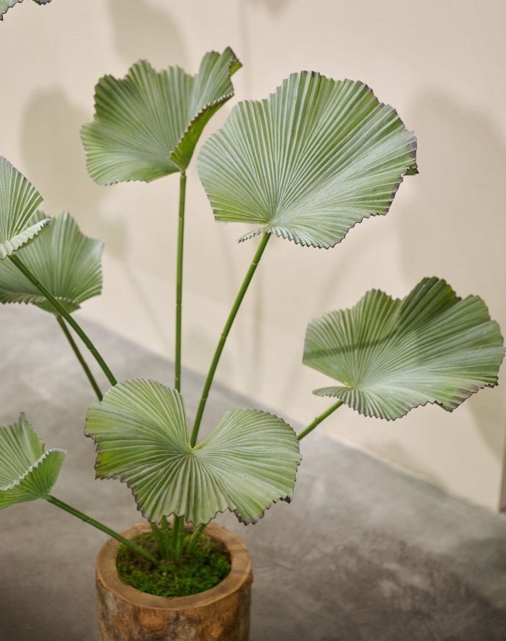 Kunstplant Lotus groen | 120 cm - NU PUUR & GROEN