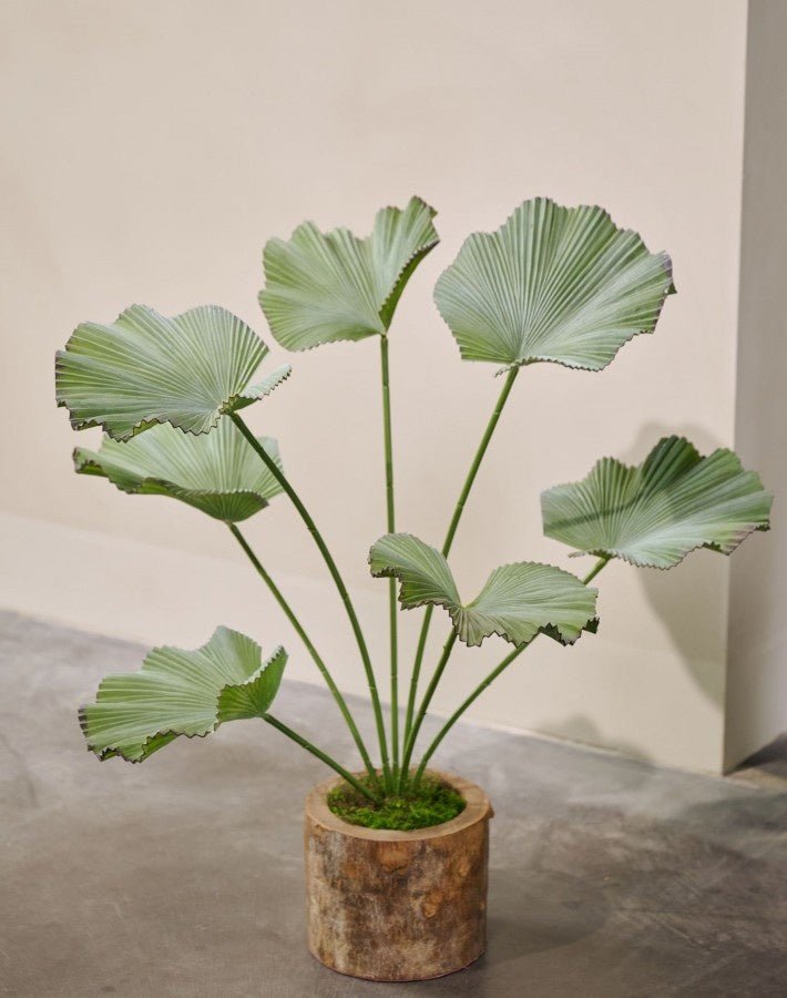 Kunstplant Lotus groen | 90 cm - NU PUUR & GROEN