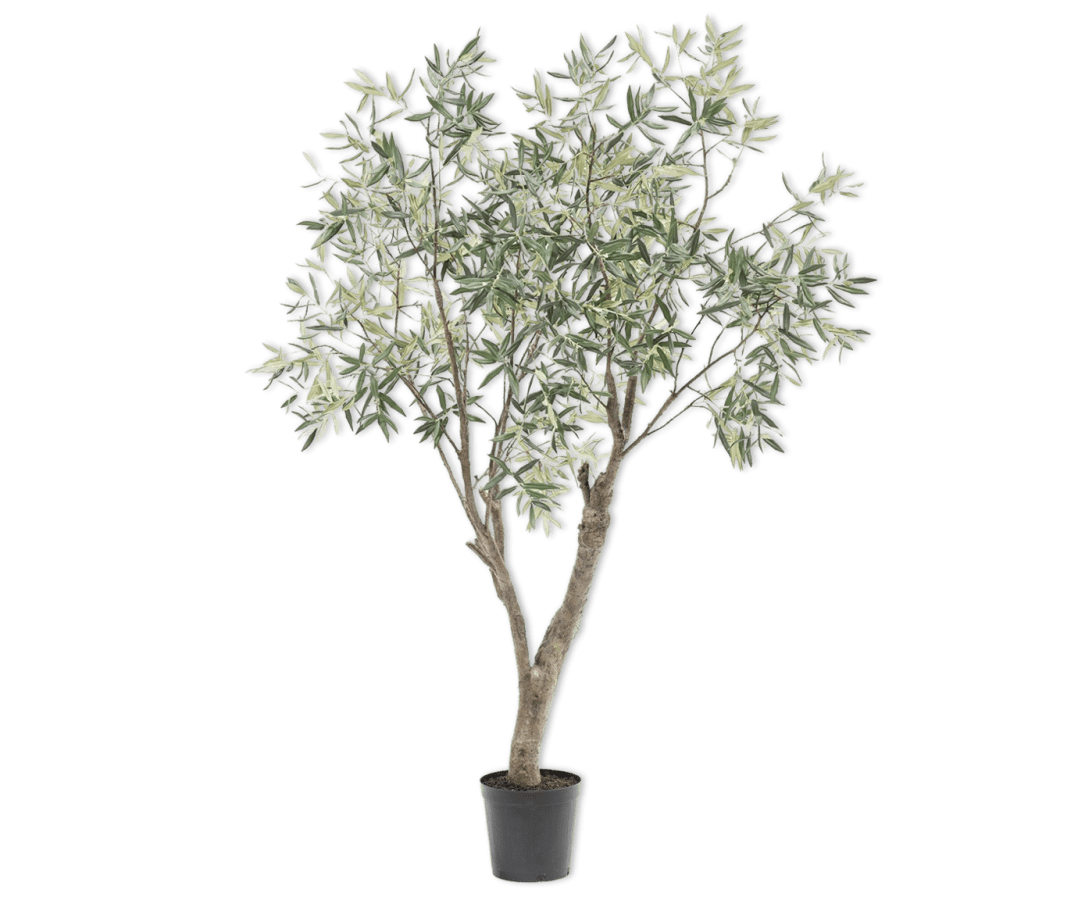 Kunstplant Olijf Boom Groen | 198 cm - NU PUUR & GROEN