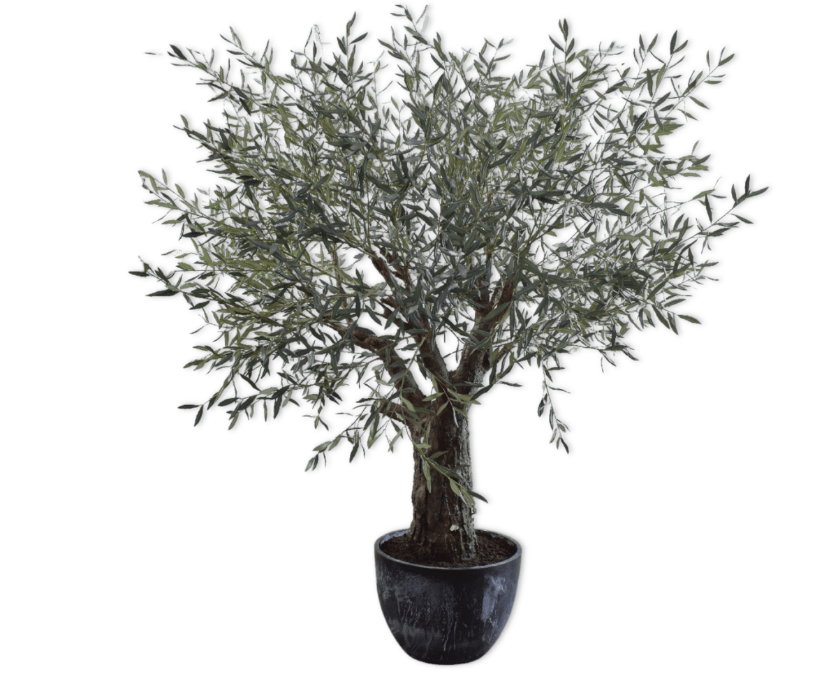 Kunstplant Olijf Boom Groen | 240 cm - NU PUUR & GROEN