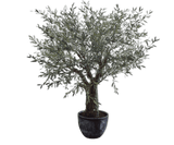 Kunstplant Olijf Boom Groen | 240 cm
