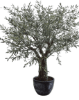 Kunstplant Olijf Boom Groen | 240 cm - NU PUUR & GROEN