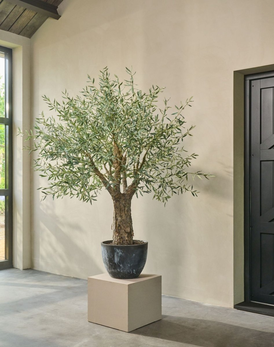 Kunstplant Olijf Boom Groen | 240 cm - NU PUUR & GROEN