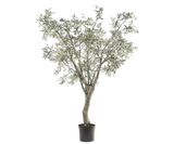 Kunstplant Olijf Boom Groen | 244 cm