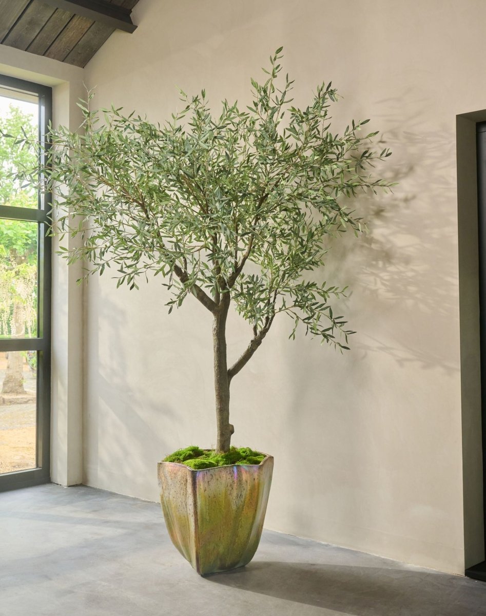 Kunstplant Olijf Boom Groen | 305 cm - NU PUUR & GROEN