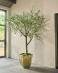 Kunstplant Olijf Boom Groen | 305 cm - NU PUUR & GROEN