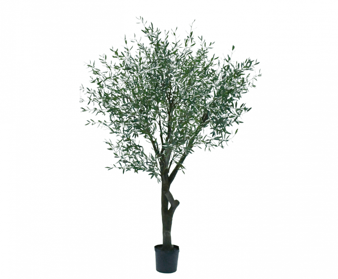 Kunstplant Olijf Boom Groen | 305 cm - NU PUUR & GROEN