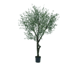 Kunstplant Olijf Boom Groen | 305 cm
