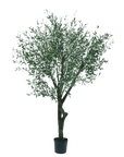 Kunstplant Olijf Boom Groen | 305 cm - NU PUUR & GROEN