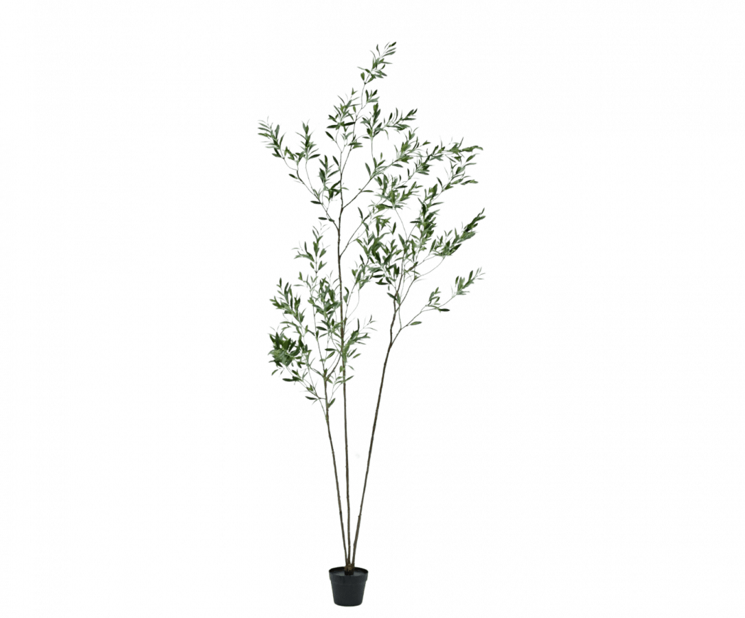 Kunstplant olijfboom groen | 227 cm - NU PUUR & GROEN