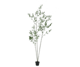 Kunstplant olijfboom groen | 227 cm