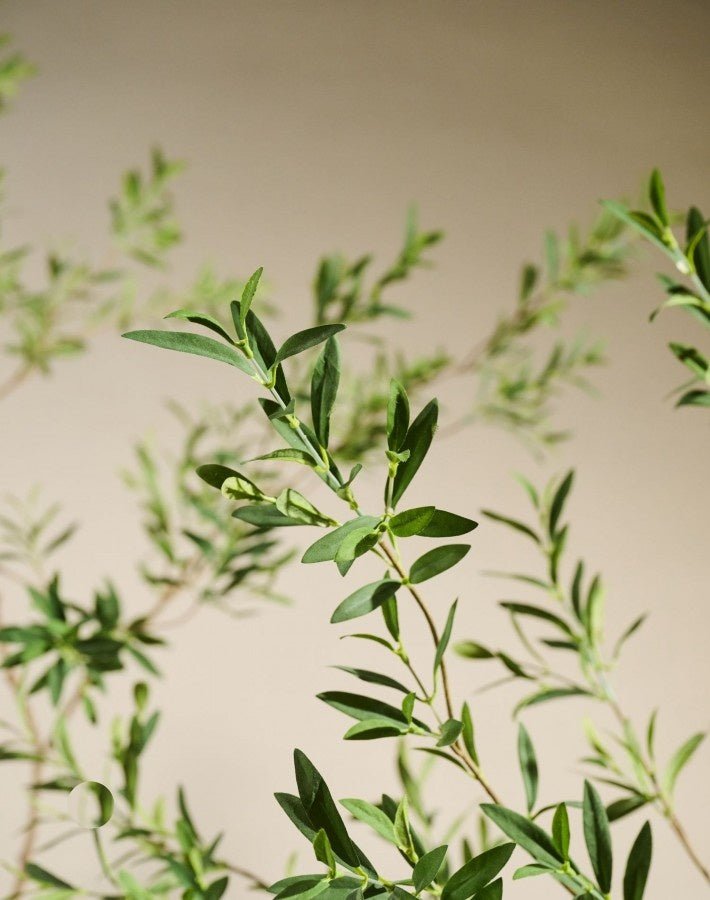 Kunstplant olijfboom groen | 227 cm - NU PUUR & GROEN