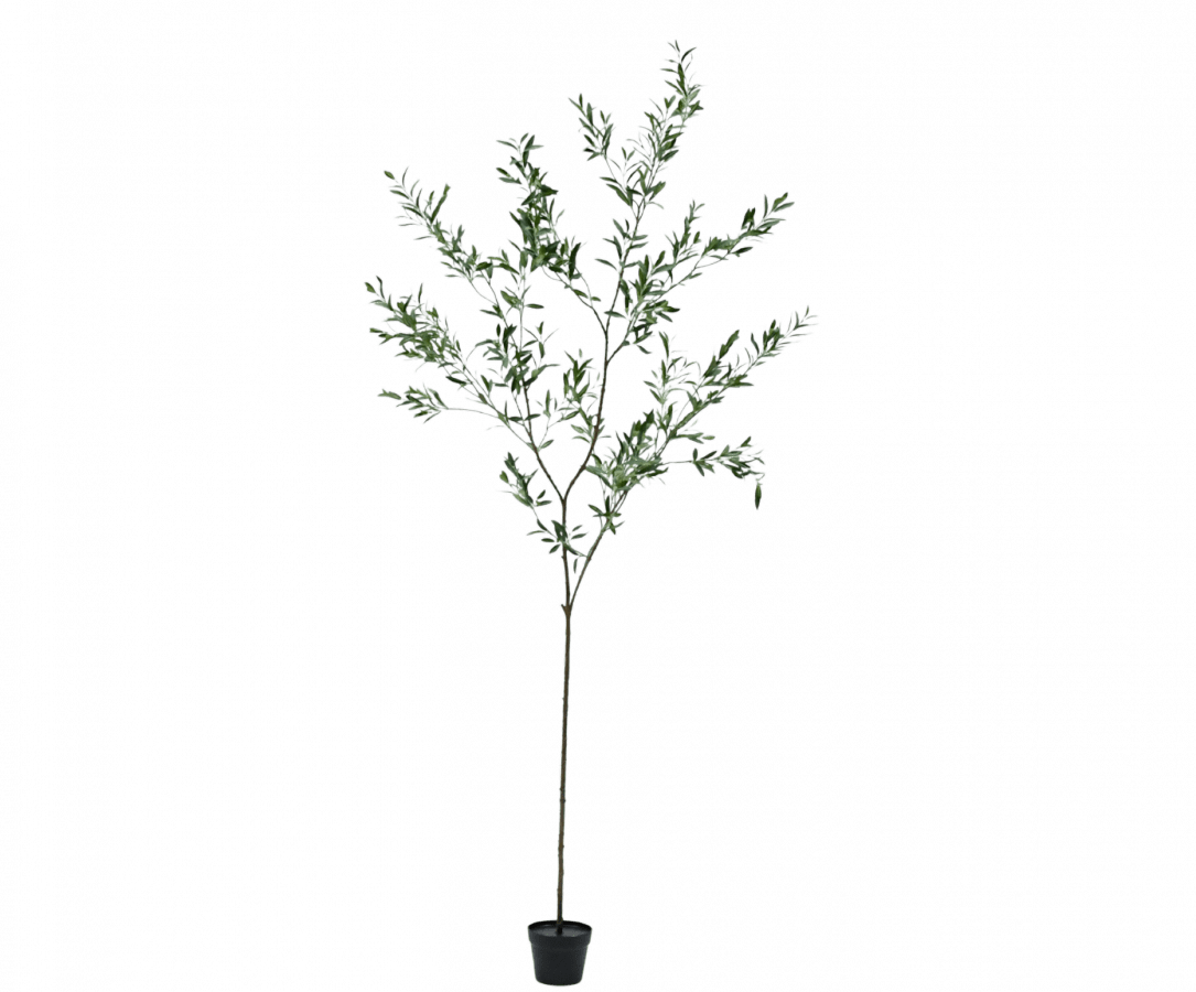 Kunstplant olijfboom groen | 234 cm - NU PUUR & GROEN