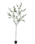 Kunstplant olijfboom groen | 234 cm - NU PUUR & GROEN