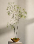 Kunstplant Schefflera Groen | 223 cm - NU PUUR & GROEN