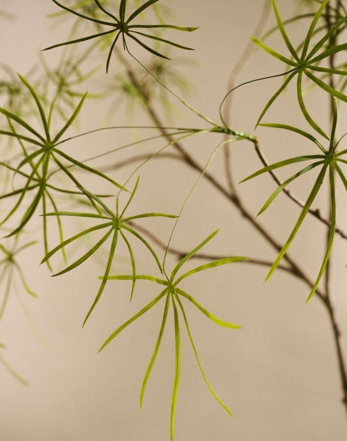 Kunstplant Schefflera Groen | 223 cm - NU PUUR & GROEN