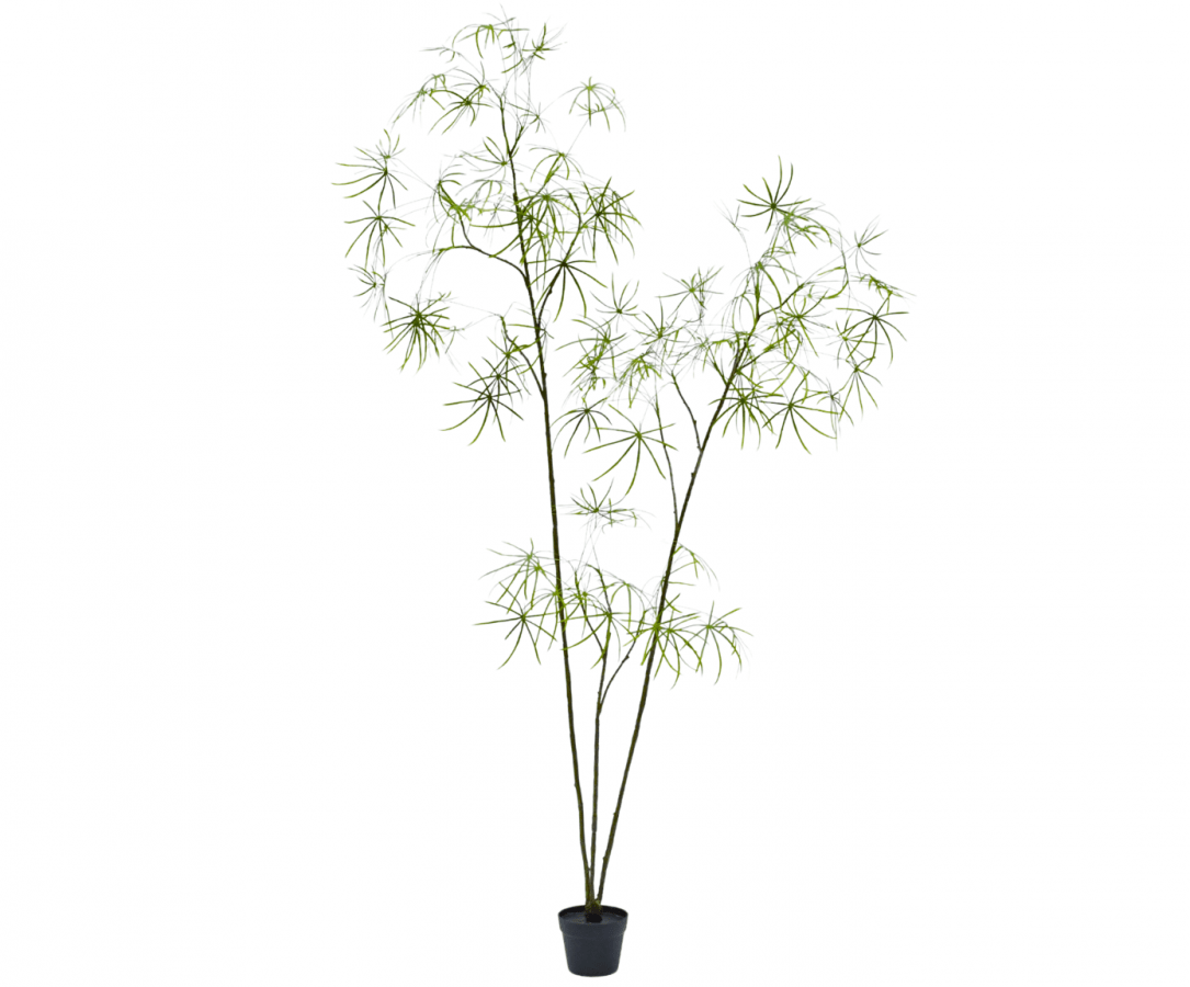 Kunstplant Schefflera Groen | 223 cm - NU PUUR & GROEN