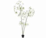 Kunstplant Schefflera Groen | 223 cm