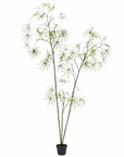 Kunstplant Schefflera Groen | 223 cm - NU PUUR & GROEN