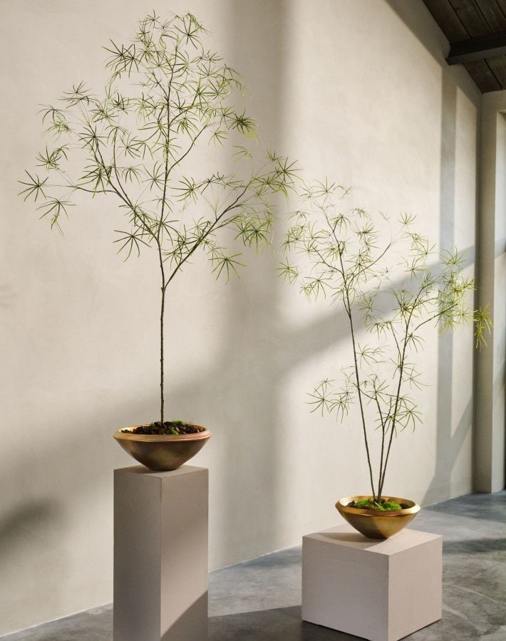 Kunstplant Schefflera Groen | 240 cm - NU PUUR & GROEN