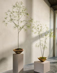 Kunstplant Schefflera Groen | 240 cm - NU PUUR & GROEN