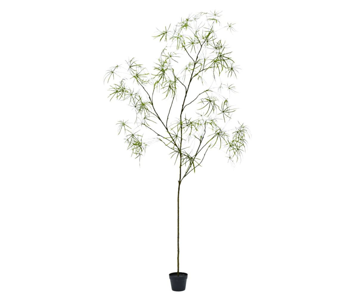 Kunstplant Schefflera Groen | 240 cm - NU PUUR & GROEN