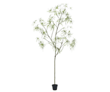 Kunstplant Schefflera Groen | 240 cm