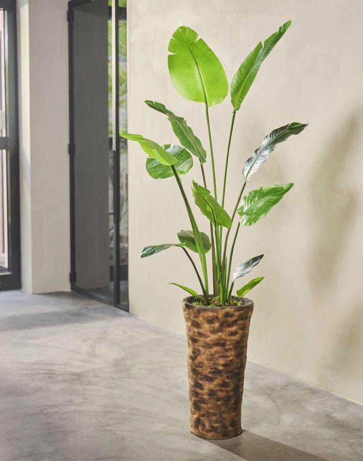 Kunstplant Strelitzia Groen | 150 cm - NU PUUR & GROEN
