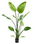 Kunstplant Strelitzia Groen | 150 cm - NU PUUR & GROEN