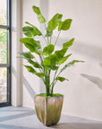 Kunstplant Strelitzia Groen | 300 cm - NU PUUR & GROEN