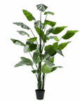 Kunstplant Strelitzia Groen | 300 cm - NU PUUR & GROEN