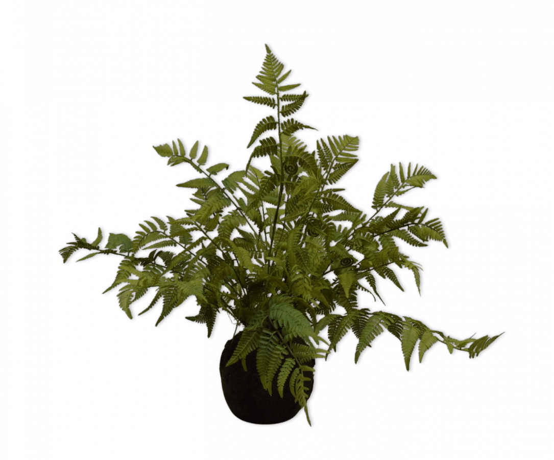 Kunstplant Varen met Mos op Kluit | 65 cm - NU PUUR & GROEN