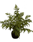 Kunstplant Varen met Mos op Kluit | 65 cm - NU PUUR & GROEN