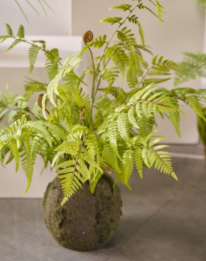 Kunstplant Varen met Mos op Kluit | 65 cm - NU PUUR & GROEN