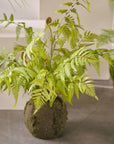 Kunstplant Varen met Mos op Kluit | 65 cm - NU PUUR & GROEN