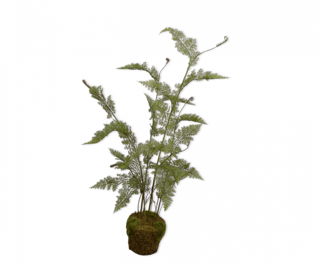 Kunstplant Varen op Kluit met Mos | 122 cm - NU PUUR & GROEN