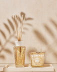 My First Baobab | Aurum Gift Box