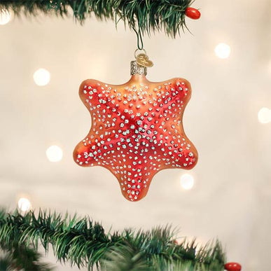 Rode Zeester | Kerst ornament