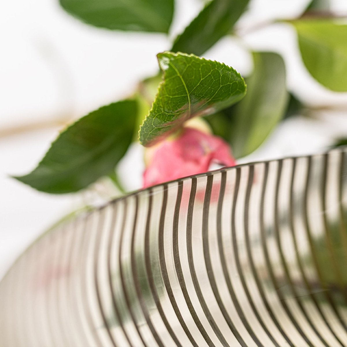 Schaal Maggia M | Smokegrey - NU PUUR & GROEN