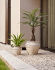 UV bestendige kunstplant voor buiten | Agave 70 cm - NU PUUR & GROEN