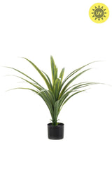 UV bestendige kunstplant voor buiten | Dracaena 80 cm