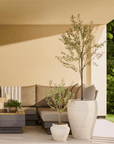 UV bestendige kunstplant voor buiten | Olijfboom 175 cm - NU PUUR & GROEN
