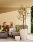 UV bestendige kunstplant voor buiten | Olijfboom 90 cm - NU PUUR & GROEN
