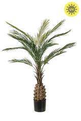 UV bestendige kunstplant voor buiten | Palm 150 cm