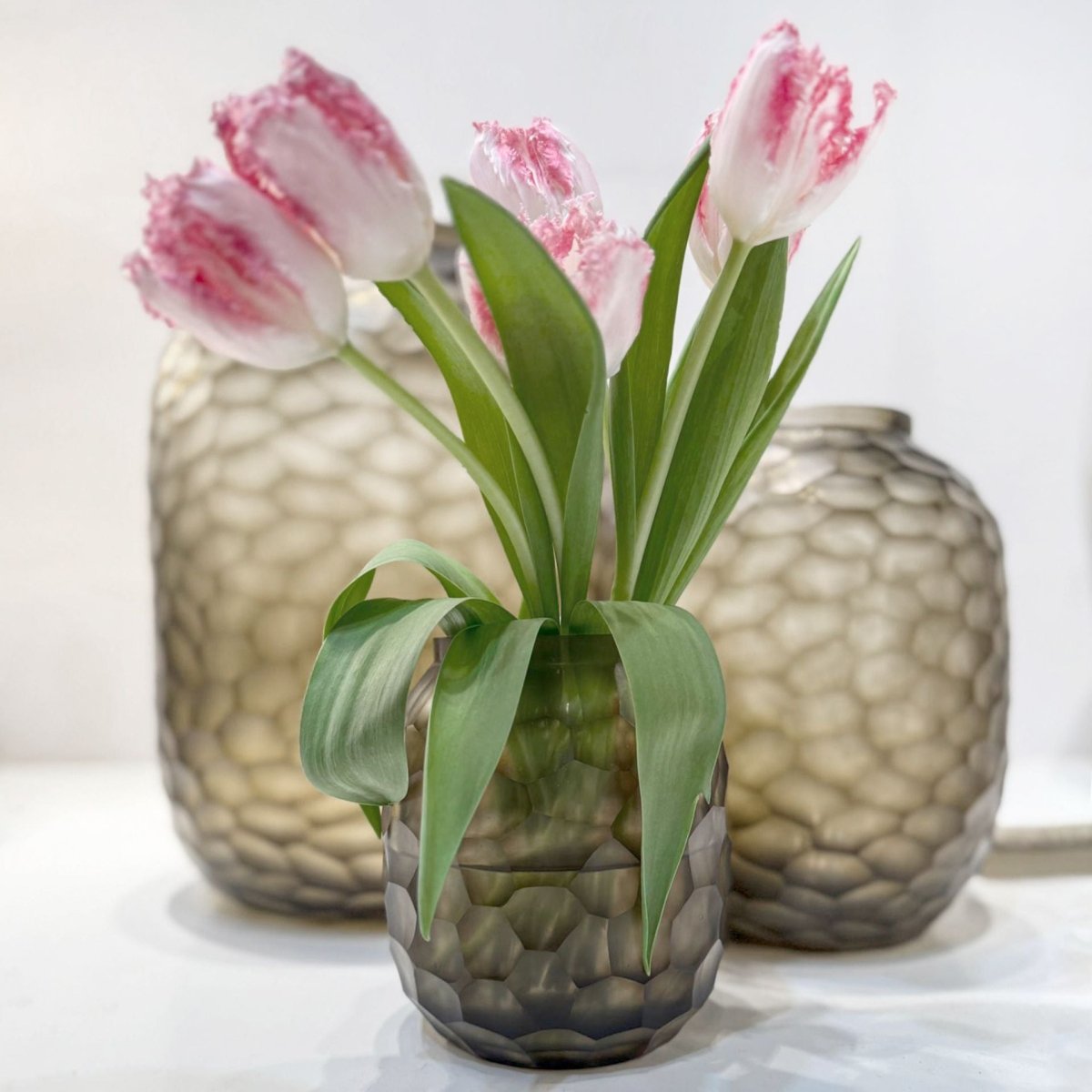 Vaas Bambola M | Clear/Smokegrey - NU PUUR & GROEN