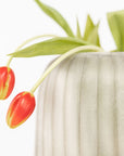 Vaas Erongo Big Tall | Clear/Smokegrey - NU PUUR & GROEN