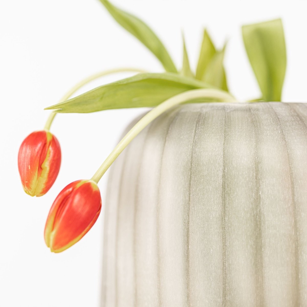 Vaas Erongo M | Clear/Smokegrey - NU PUUR & GROEN